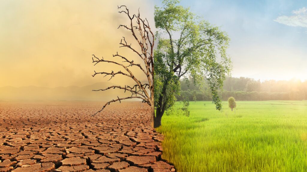 Klimaat