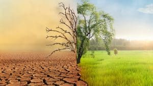 Klimaat