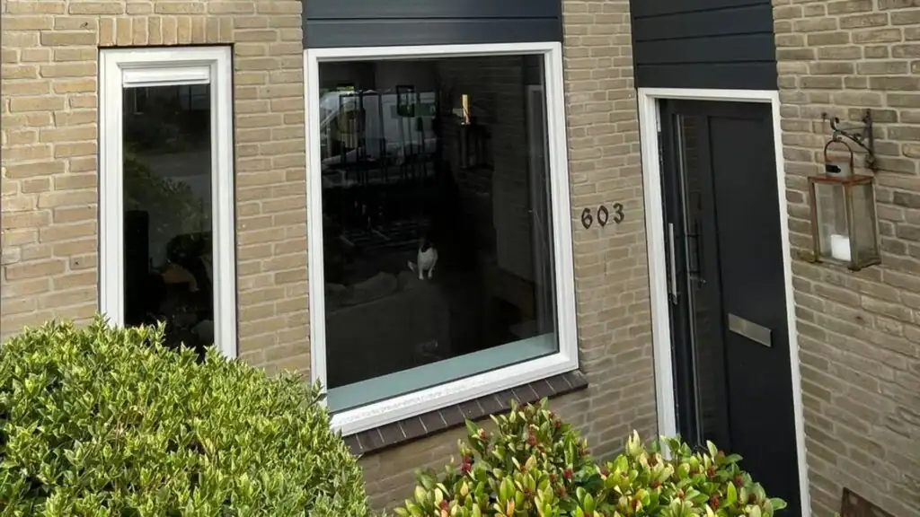 Thumbnail 3 1024x576